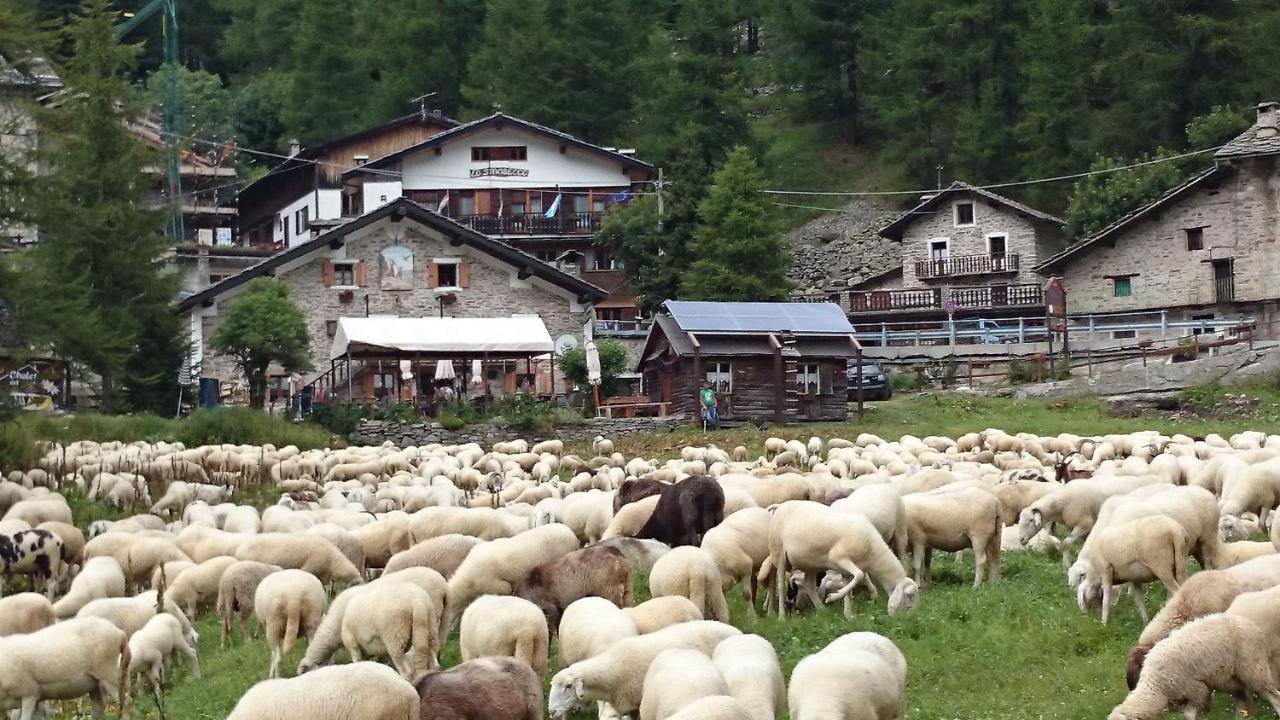 Chalet Del Lago Ceresole Reale Eksteriør billede
