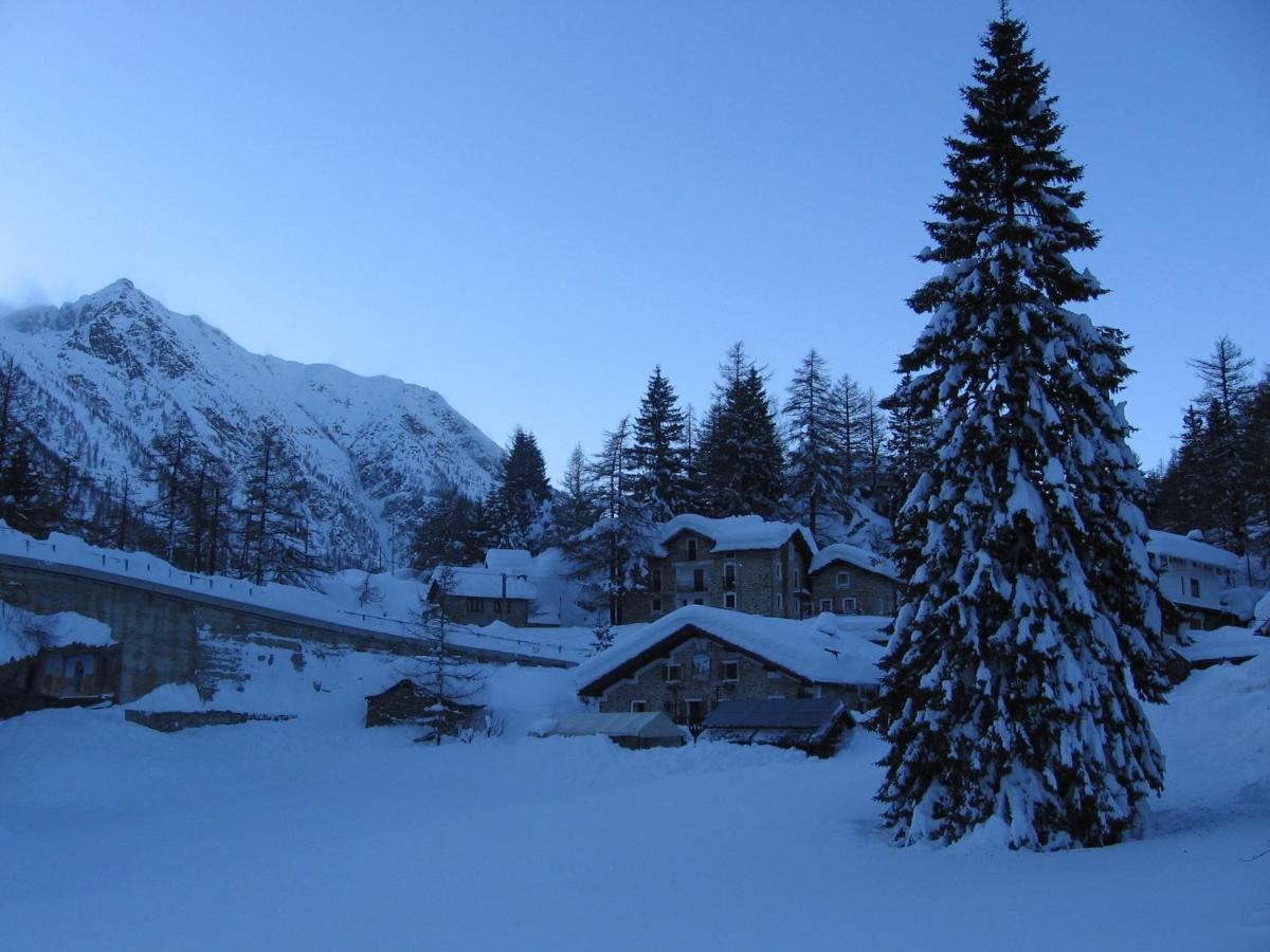Chalet Del Lago Ceresole Reale Eksteriør billede