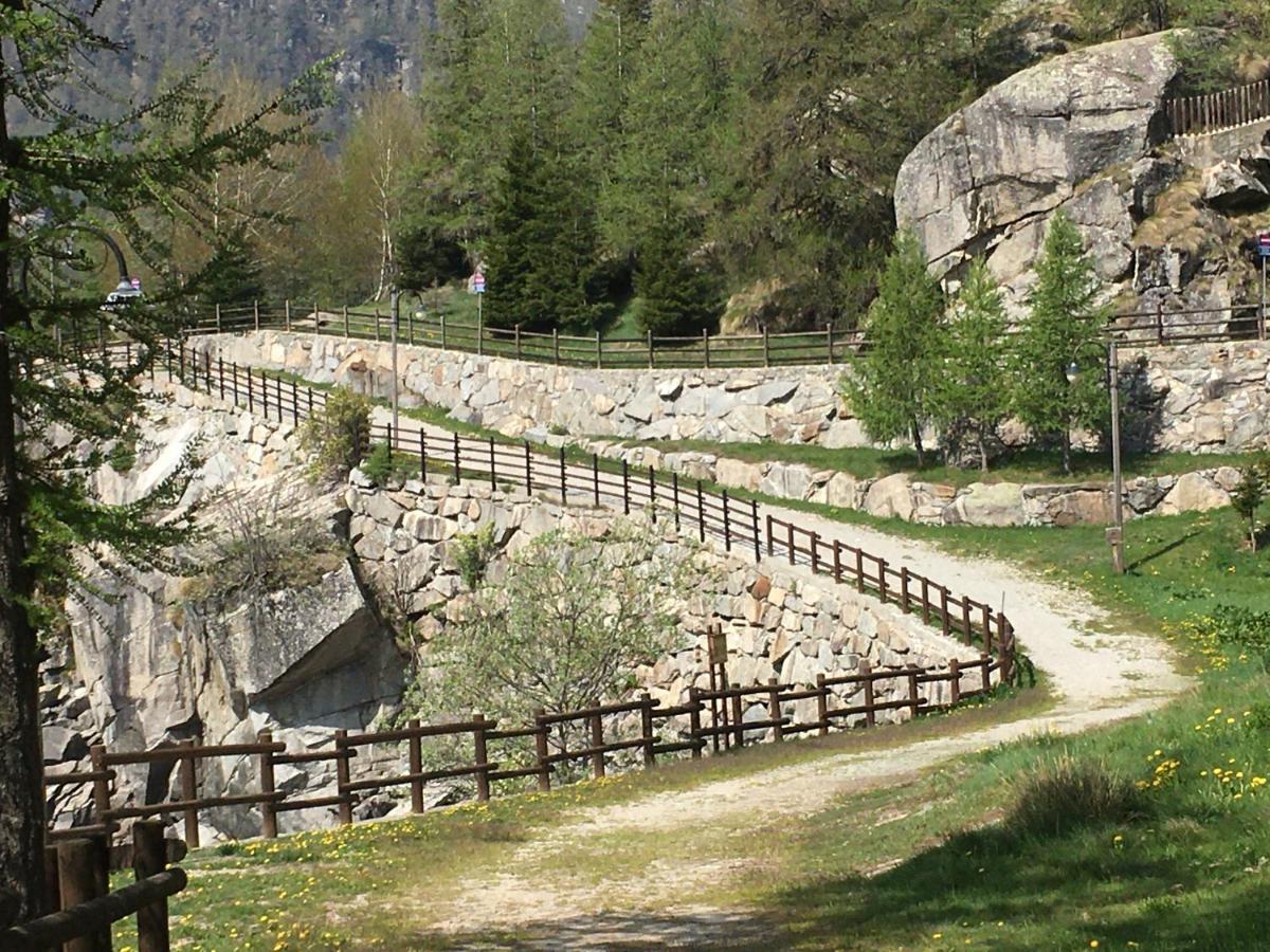 Chalet Del Lago Ceresole Reale Eksteriør billede