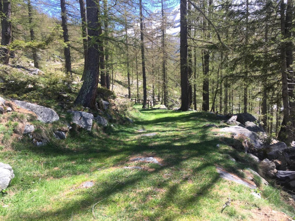 Chalet Del Lago Ceresole Reale Eksteriør billede