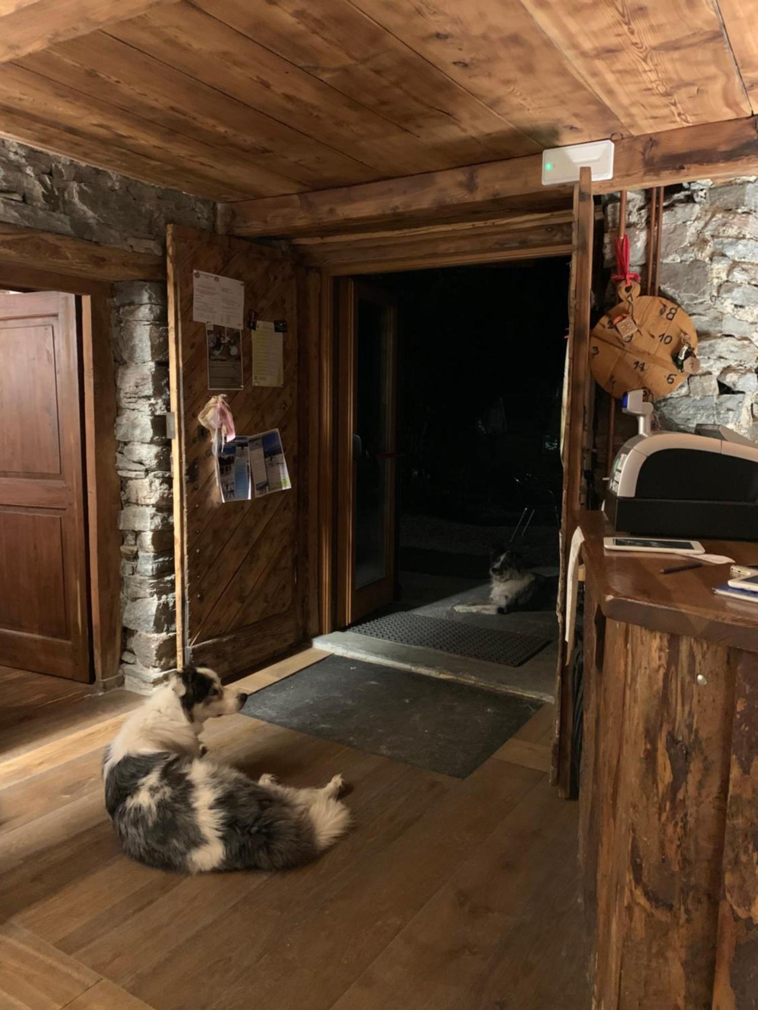 Chalet Del Lago Ceresole Reale Eksteriør billede